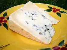 Photo du fromage sur une assiette colorée.