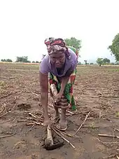 photo de femme penchée dans un champ nous regardant