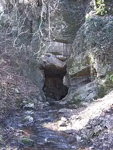 Photographie d'un&nbsp;aven&nbsp;dans le Chantoir de Rouge-Thier à&nbsp;Deigné, dans le système&nbsp;karstique&nbsp;du&nbsp;Vallon des Chantoires, Belgique.