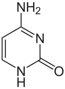 cytosine