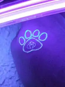 Photographie d’un tatouage représentant une patte de chien verte claire sur peau bleue, à cause de la lumière noire spécifique.