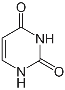 uracile