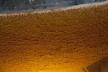 Vue en détail du voile de fleur.